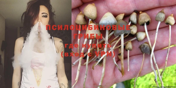 гашик Верхнеуральск