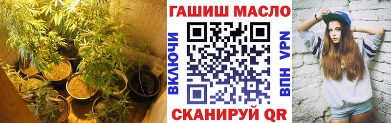 Купить закладки  Новосиль  Дистиллят ТГК THC oil 