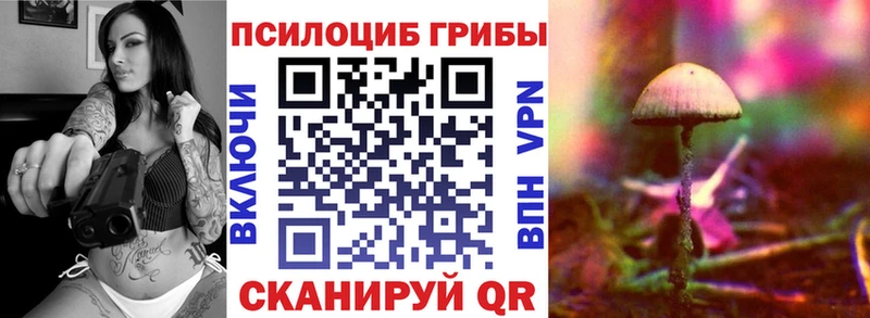 Купить закладки  Новосиль  Галлюциногенные грибы Cubensis 