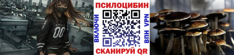 Галлюциногенные грибы Magic Shrooms Новосиль