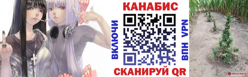 Купить  Новосиль  Бошки марихуана SATIVA & INDICA 